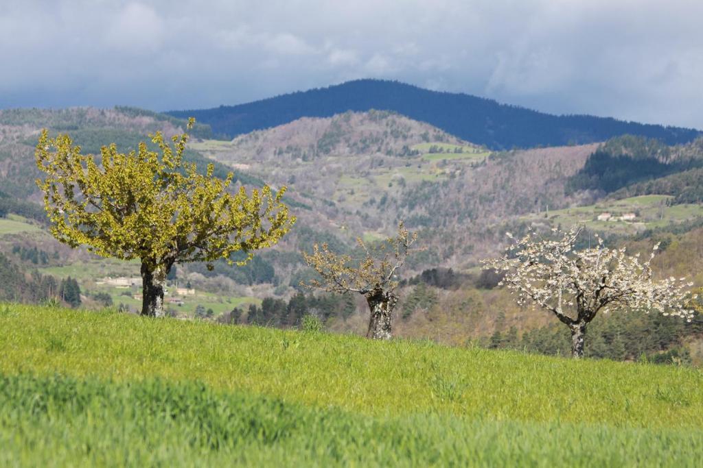 La Bastide De Fontaille Bed & Breakfast Saint-Félicien Екстериор снимка