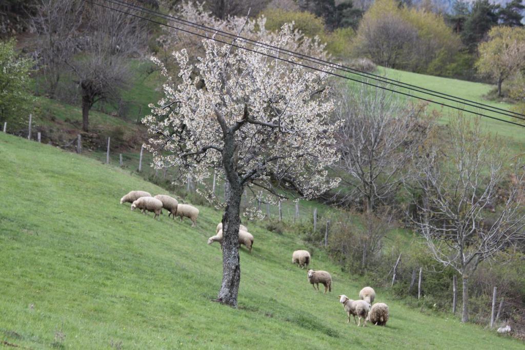 La Bastide De Fontaille Bed & Breakfast Saint-Félicien Екстериор снимка