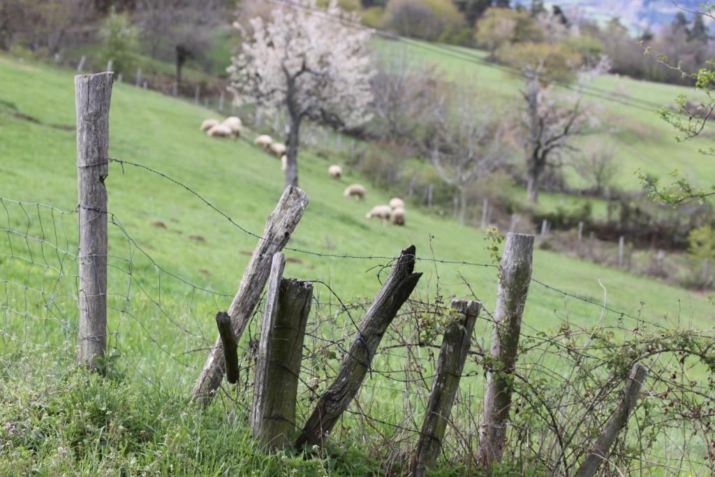 La Bastide De Fontaille Bed & Breakfast Saint-Félicien Екстериор снимка